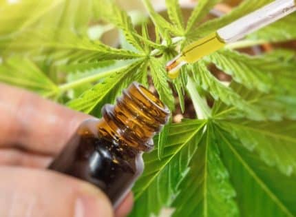 Comment consommez-vous de l’huile de CBD ?